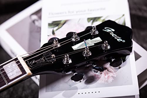 Grote GT339 Semi-Hollow Body Electric Guitar (VS)